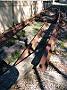 fish-coop-taree 009